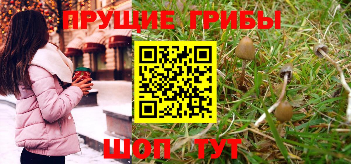 Псилоцибиновые грибы Magic Shrooms Кириши