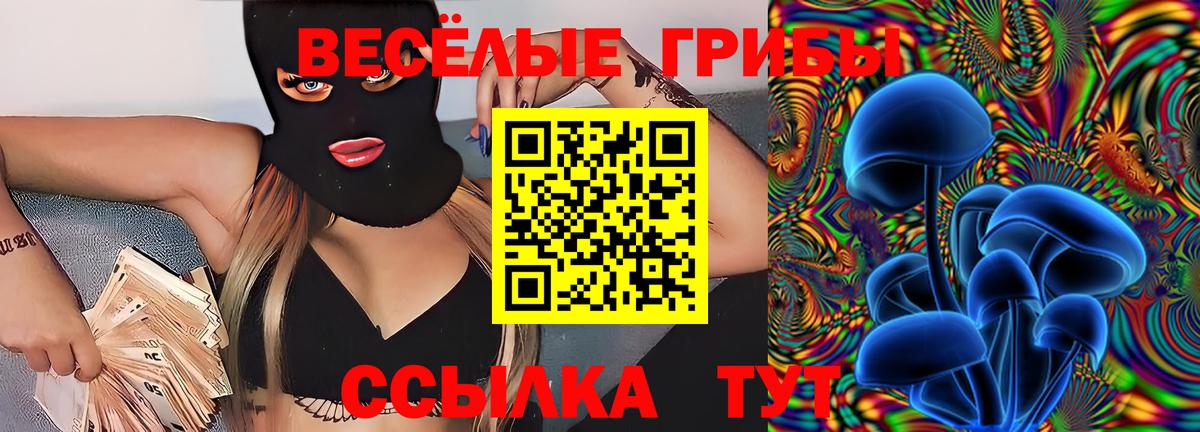 Кириши  Галлюциногенные грибы прущие грибы  Вход с VPN 